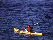 Yhdistyksemme puheenjohtaja on kova poika melomaan. Tässä hän antaa tyylinäytteen Tornio-joelta.

Kuva: www.freeimages.co.uk